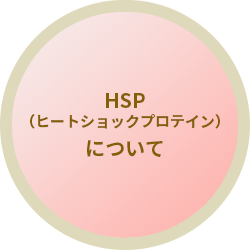 HSP（ヒートショックプロテイン）について